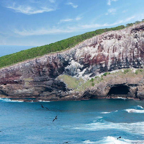 Parque Nacional Isla Isabel